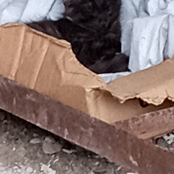 Meet your Posher, Michelle - Picture 13 of 16